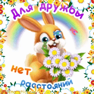 🌹