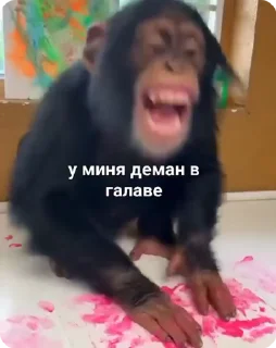 👹