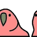 🦜
