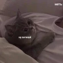 😄