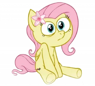 ♡ fluttershy | ➩ tg: @wexsavi ! 🪷