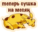 👌