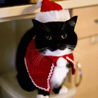 🎅