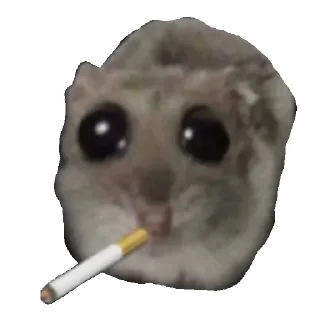 Hamster | More stickers here > @StickerMixUA