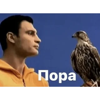 🦅