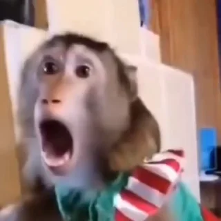 🤩