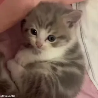 🤭