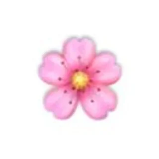 🌸