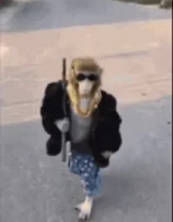 😎