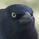 🤨