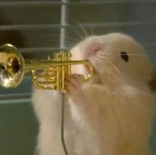 🥳