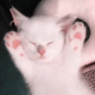 🥺