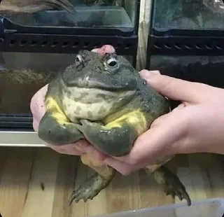 💪
