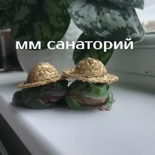 🌴