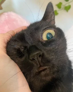 😡