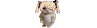 🐈