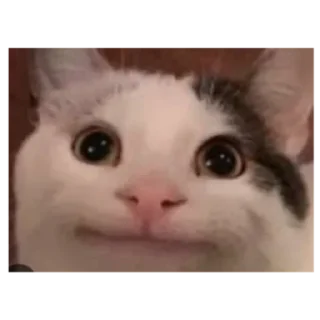 😀