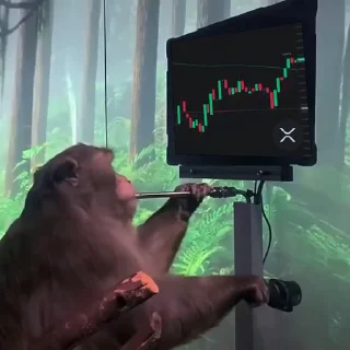 💵
