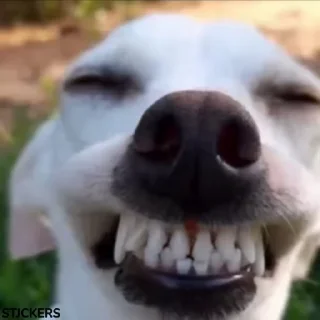 😂