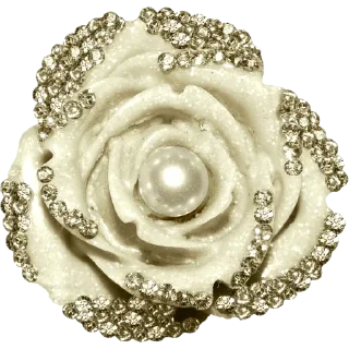⚪