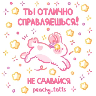 🐈