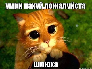 🥺