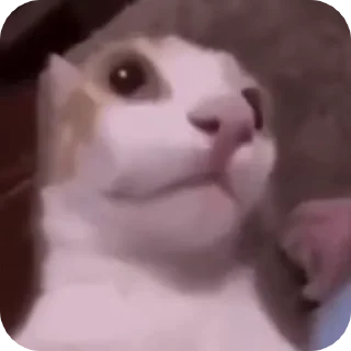 😦
