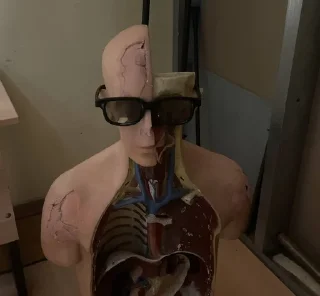 😎