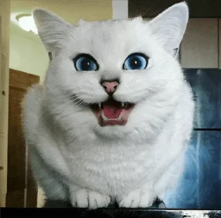 💙