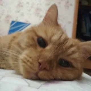 🥰