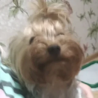 😁