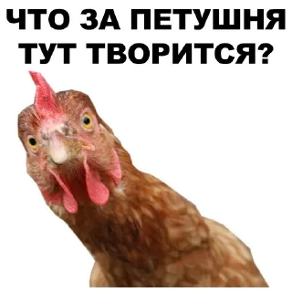 ☝️