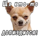 животные