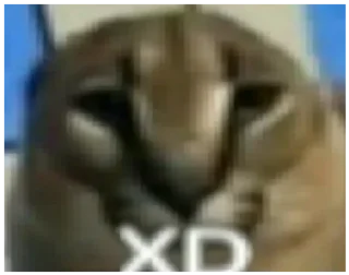 🤯