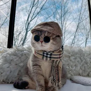 😎