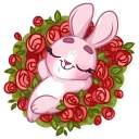 🌹
