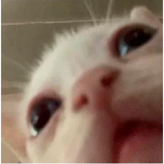 😐