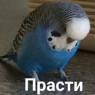 😔