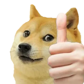 👍