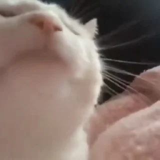 🙂