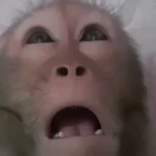 🤤