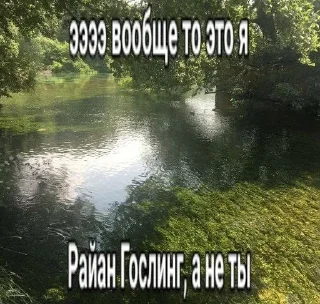 🧂