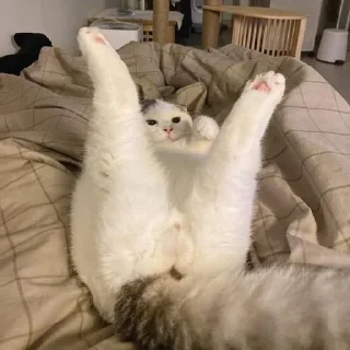 🔞