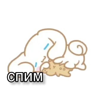 💤