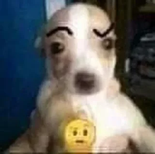 🤨
