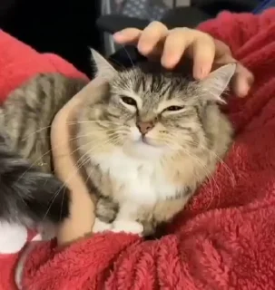 ☹️