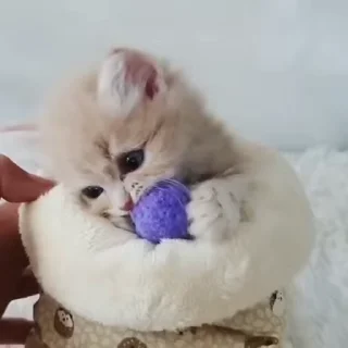 😗