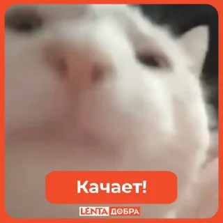 💃