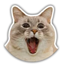 😃