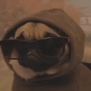 🕶